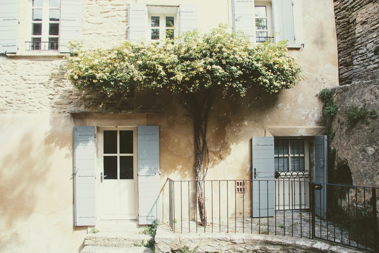 Vieille maison de ville aux volets bleus, avec un arbre devant